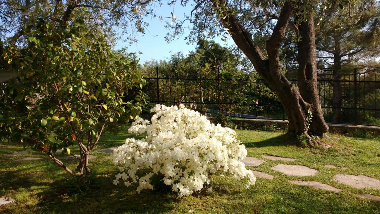 La Vie Est Belle Bed & Breakfast